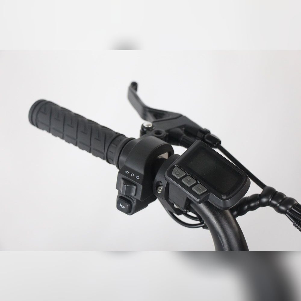アクセル操作による走行、LCDディスプレイや機械式ディスクブレーキなど日常使いに役立つ機能を多数搭載。納車方法やアクセサリー取付も選択可能。